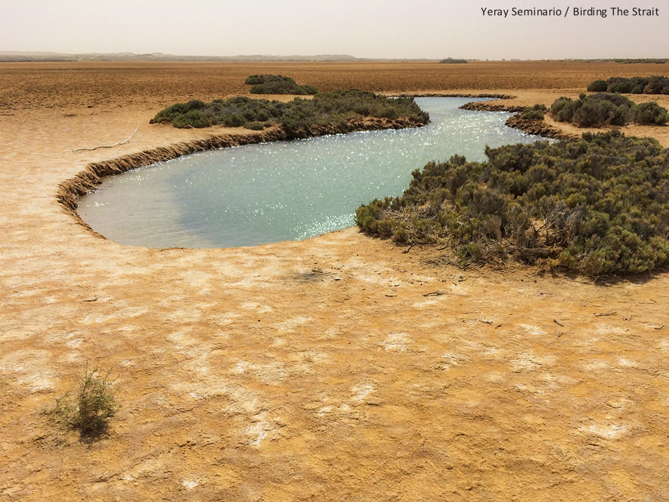 One of the ponds at Imlily, where the relict population of Guinea Tilapia can be found