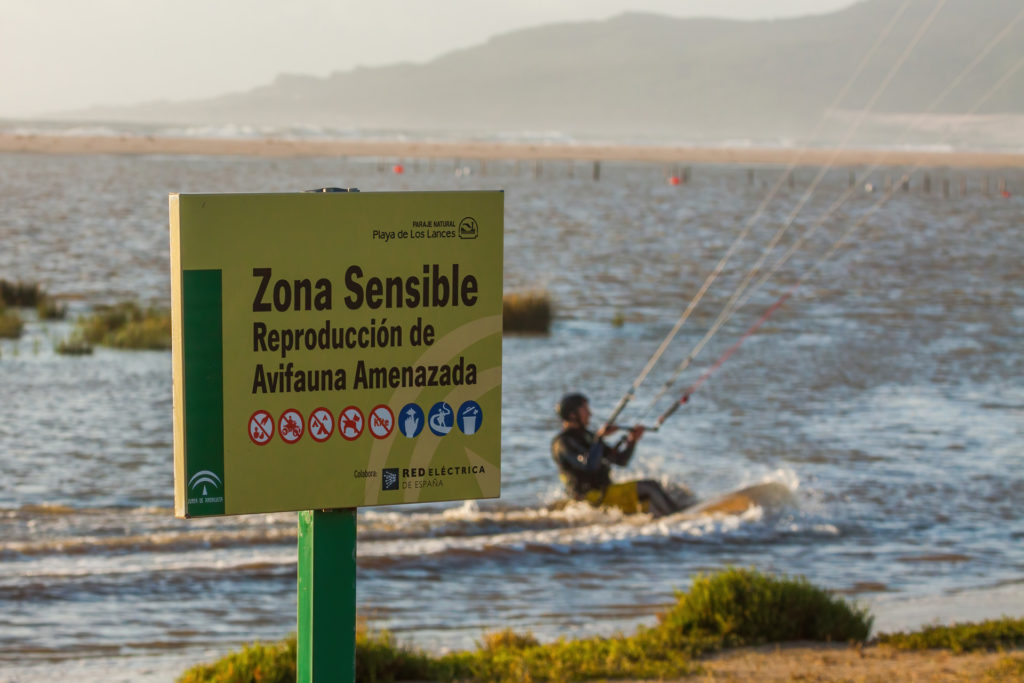 Kitesurf en Los Lances. Fotografía de Yeray Seminario, Birding The Strait.
