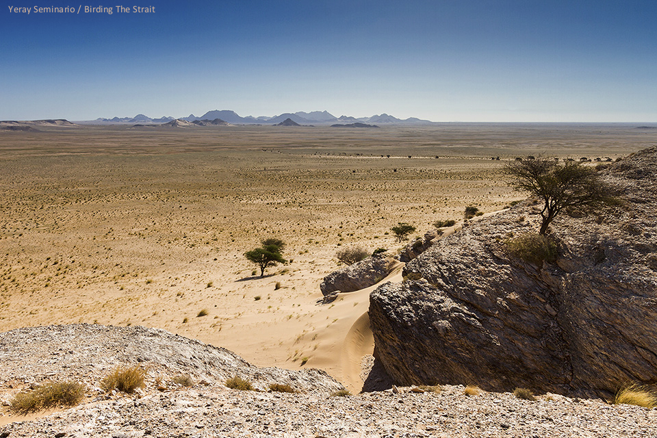 From Leglat Derraman we could enjoy some of the best views of the Saharan steppes and savanna