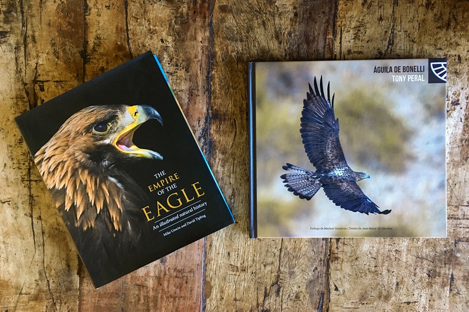 Review of Empire of the Eagle and Águila de Bonelli